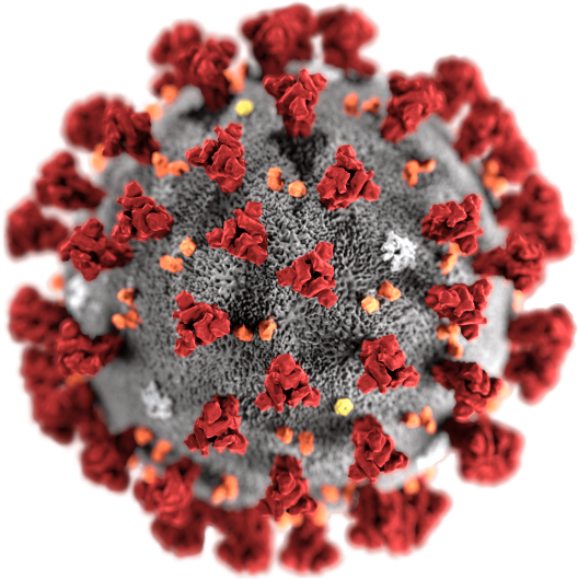 Coronavirus